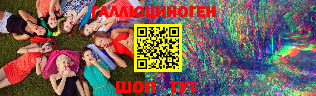 Псилоцибиновые грибы Psilocybe Усть-Илимск